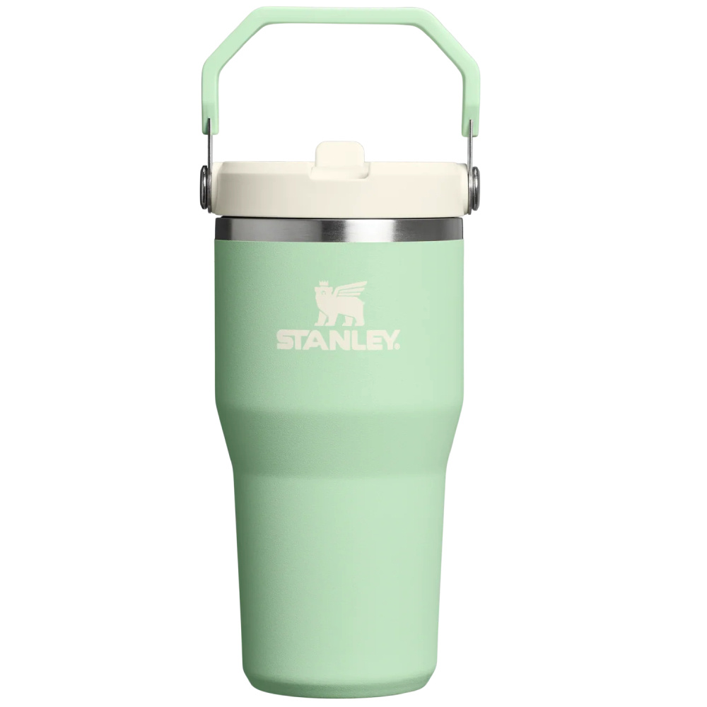 STANLEY The IceFlow™ Flip Straw 2.0 Tumbler 0.6L / 20oz Pistachio